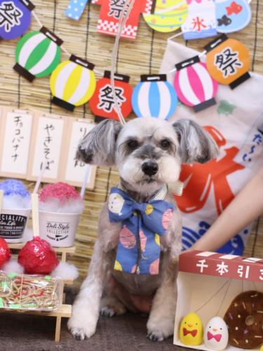 20240706来夢ちゃん